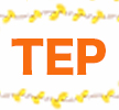 TEPのパネルシアター研修会